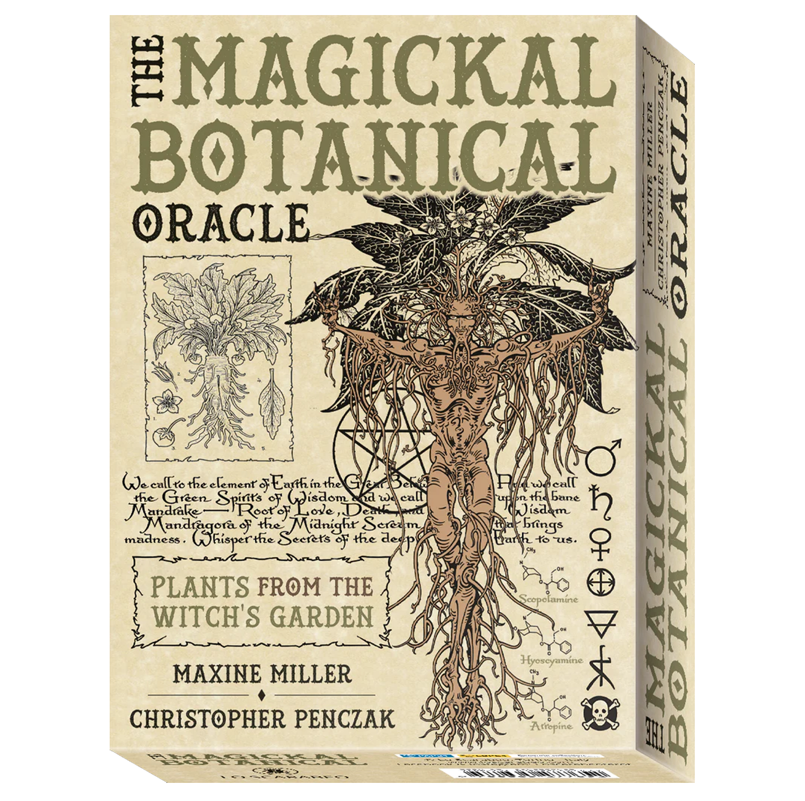 Cardshouse - Wholesale Tarot Cards - The Magickal Botanical Oracle Cards Lo Scarabeo1