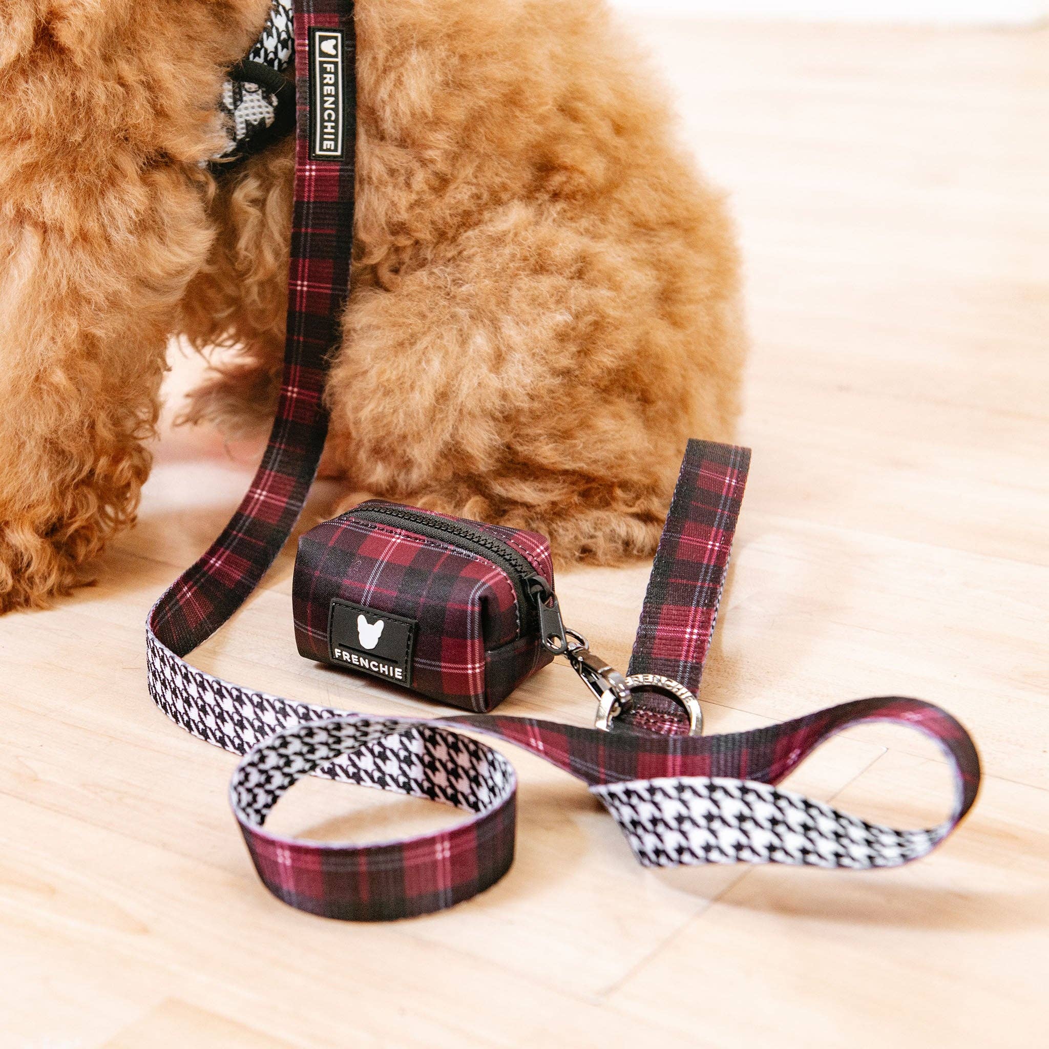 Frenchie - Wholesale Pet Leash - Dog - Frenchie Comfort Leash - Classic Plaid3