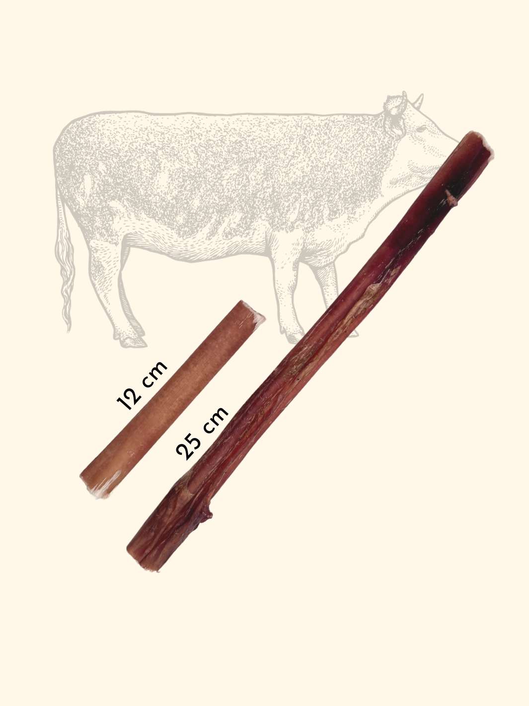 Truffe Délice – wholesale Pet treats – Dog – Beef tendons2