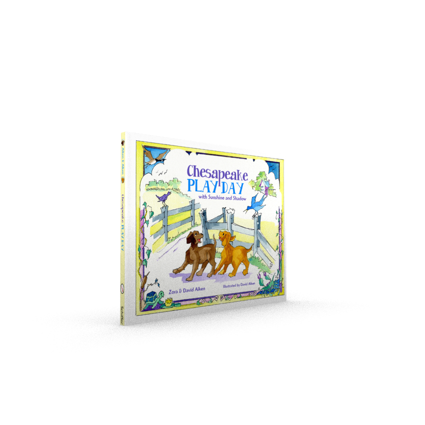 Schiffer Publishing - Wholesale Boek voor kleuters (3-5) - Chesapeake speeldag1