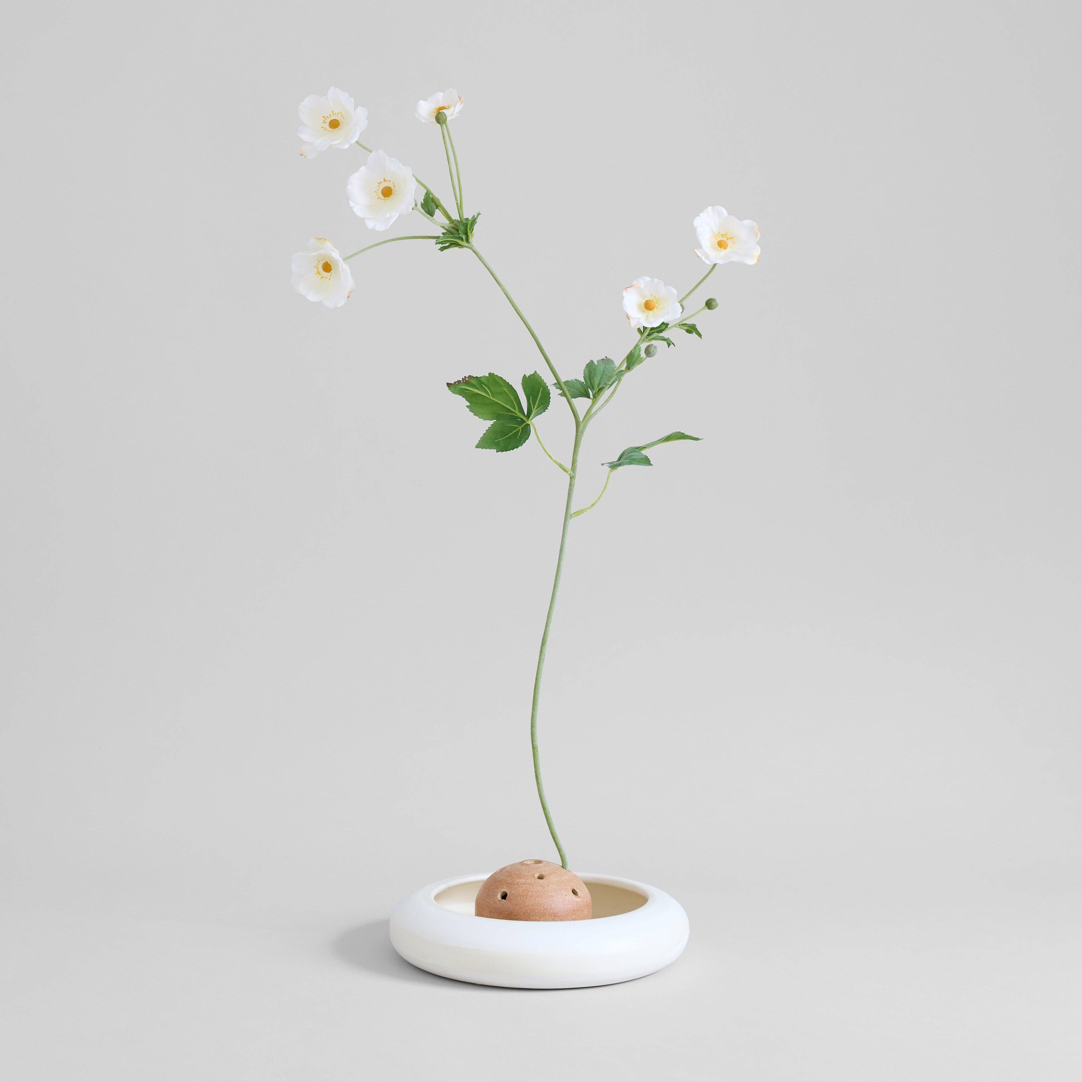 Bloomist - Vendita all'ingrosso Vasi - Vaso a forma di ranocchio in terracotta5