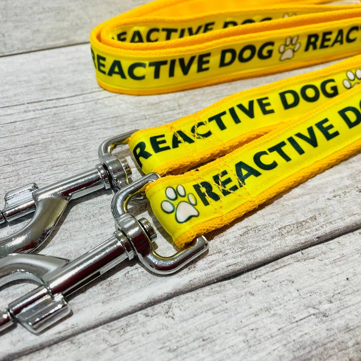 Correa de color sólido para perro reactiva, se necesita espacio para venta al por mayor de Dottie's Pet Boutique