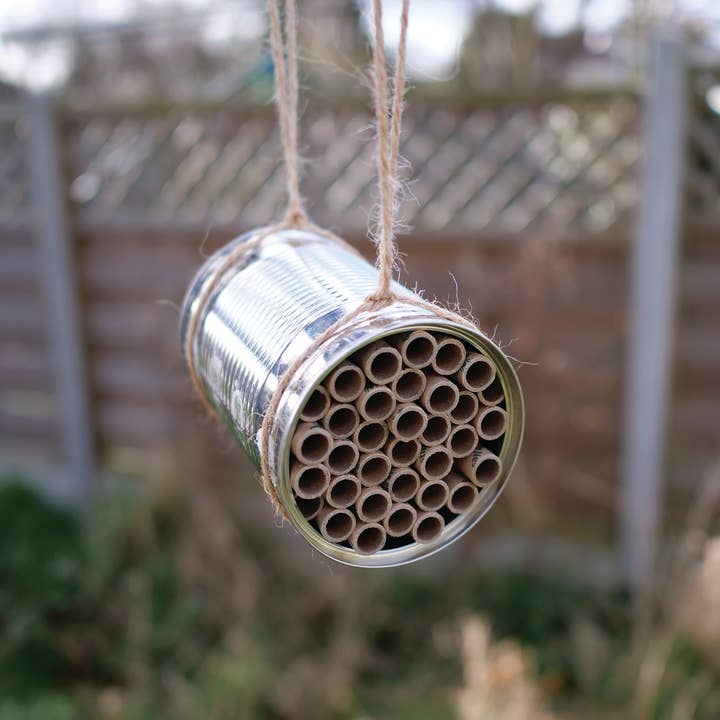 Urbee – Engroshandel Læringskort - Børn og baby – Bee Box - kun tilgængelig i Storbritannien12