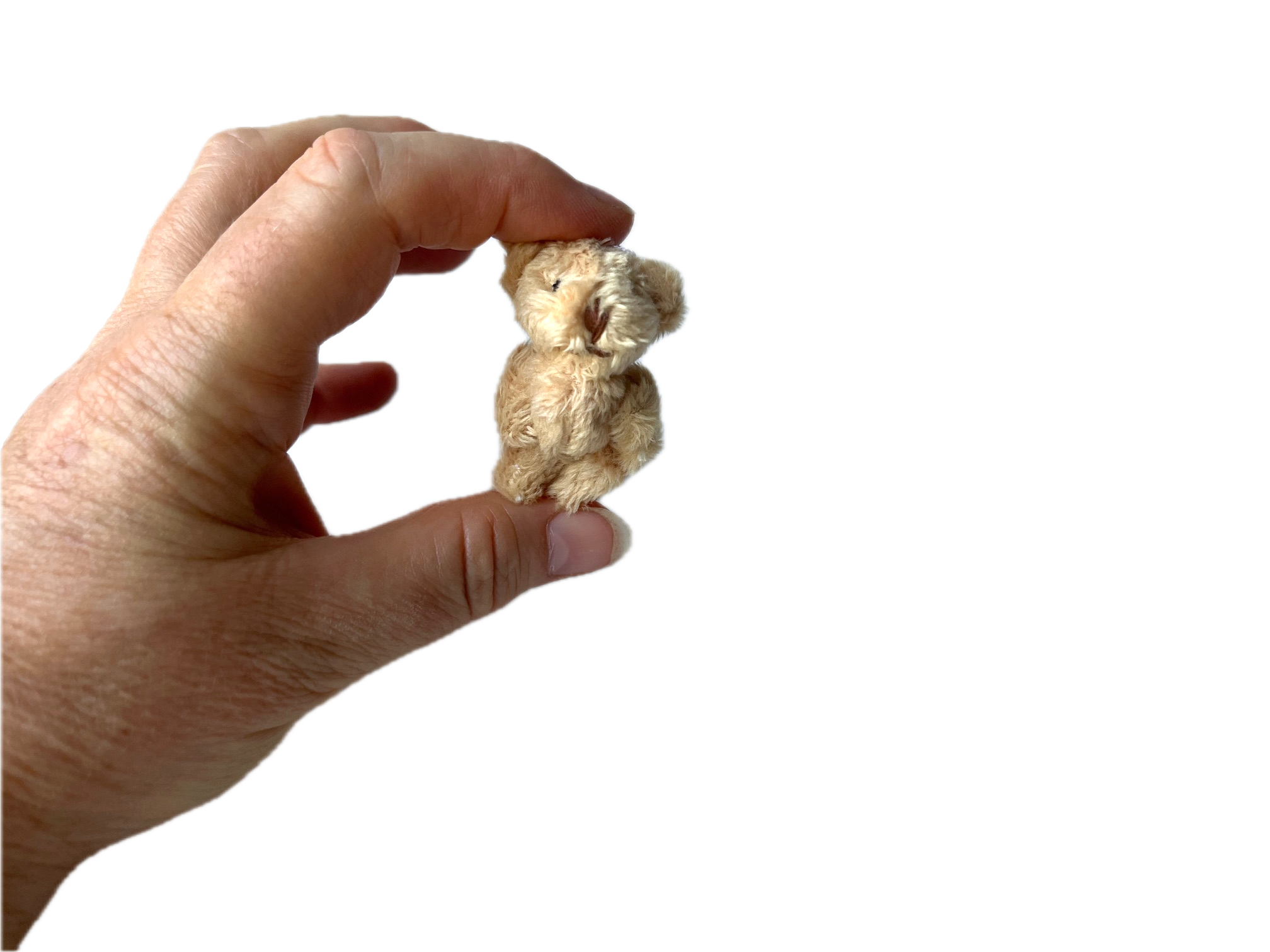 The Gifted Rat – Peluche - Crianças e bebés por atacado – Amigo de Bolso de Urso de Pelúcia Miniatura Pendente de Viagem2