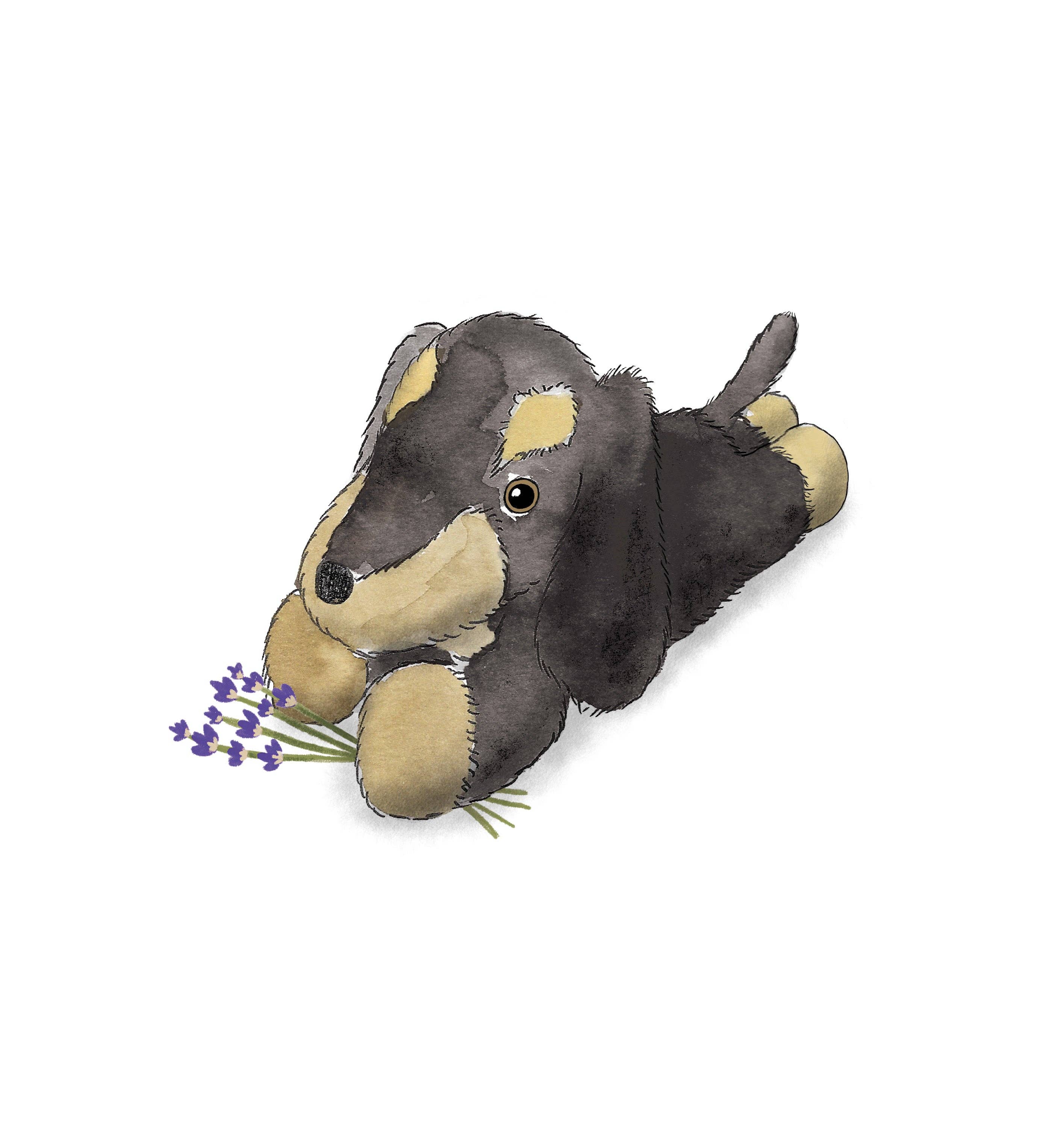 Warmies - Wholesale Stuffed/Plush Toy - Kids & Baby - Warmies Dachshund5