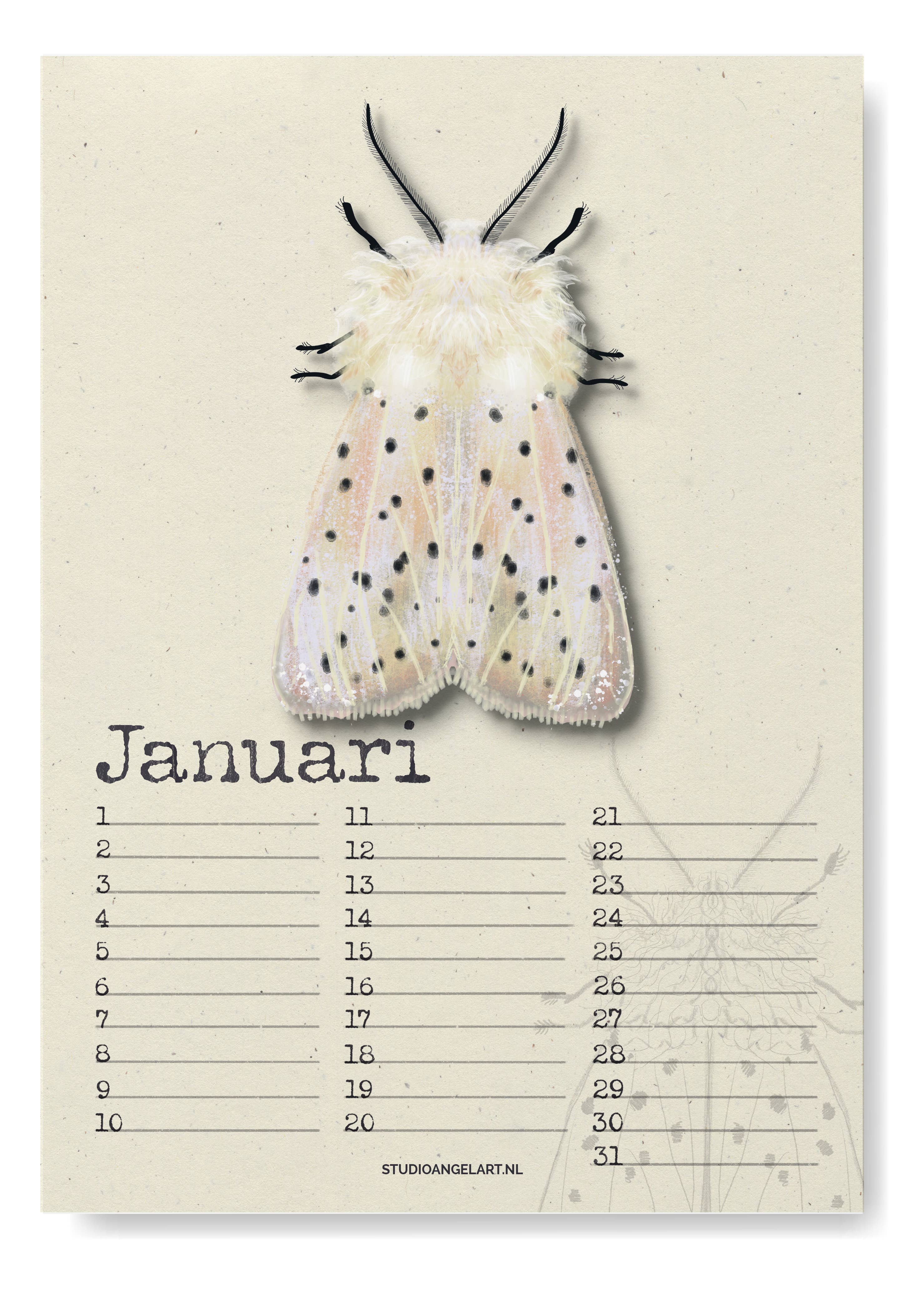 Studio Angelart - Wholesale Calendar - Birthday Calendar Night Butterflies8