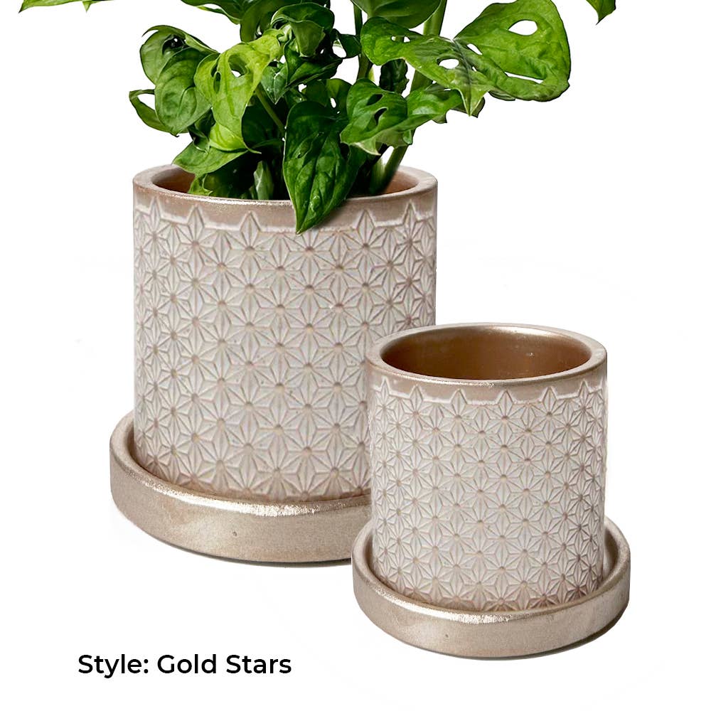 Chive - Wholesale Plant Pot - Balter Succulent Containers Cactus Pot And Saucer10