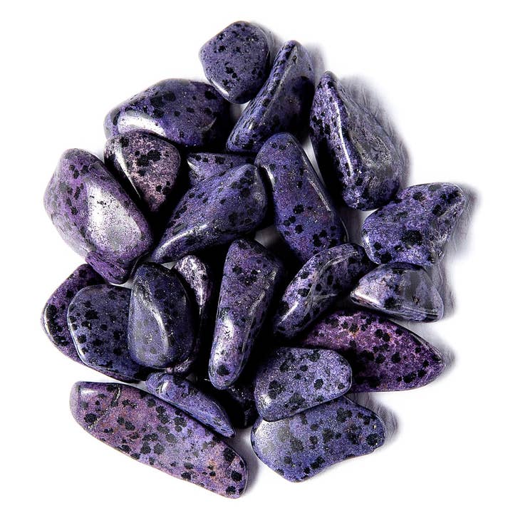 Tree of Life Gems - Vendita all'ingrosso Pietra/cristallo spirituale - Diaspro dalmata viola tinto a burattolino piccolo5