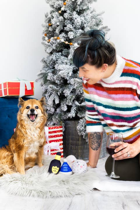 Pet Palette Distribution - Wholesale Pet Toy - Dog - Pearhead Happy Chew Year Set3