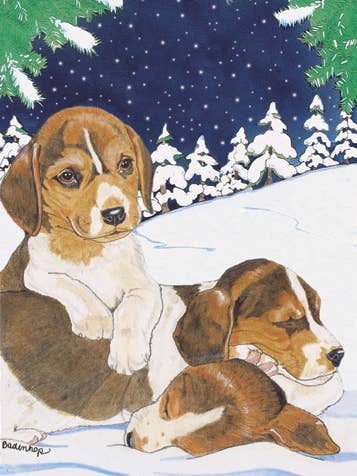Beagle Holiday Dreams Julkort Pack med 10 för wholesale av Pipsqueak Productions