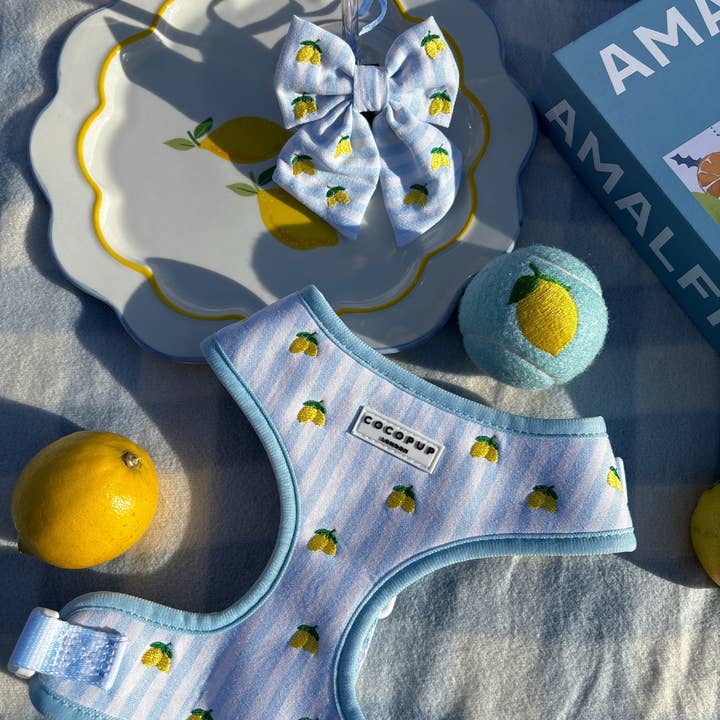 Cocopup London - Wholesale Pet Fetch Ball - Dog - Embroidered Tennis Ball - Lemon3