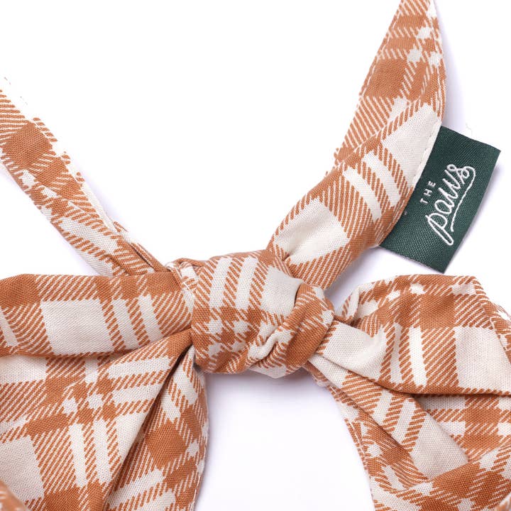 The Paws - Wholesale Pet bandana – Dog - Ginger Dog Bandana4