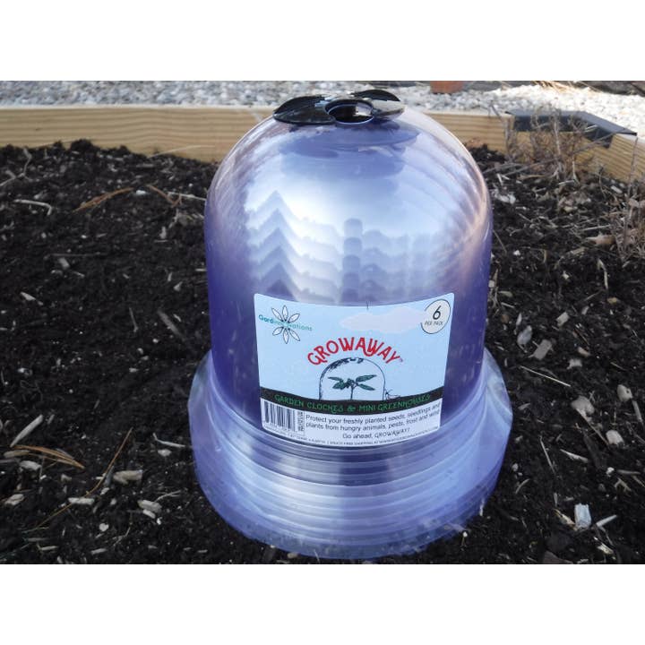 Gardinnovations - Wholesale Planting net/cover - 6-Pack Small Reusable Garden Cloches, Plant Covers, Mini Greenhouses, GrowAway Domes to Protect Seeds, Seedlings, Young Plants3