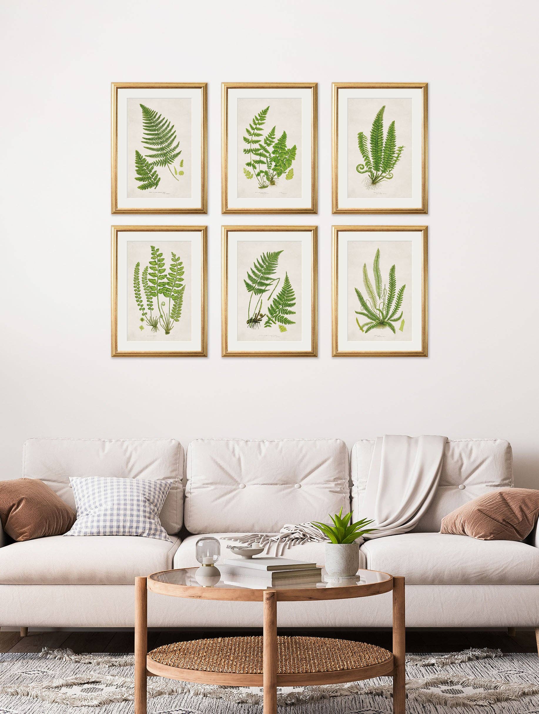 T A Interiors Wall Art & Mirrors – wholesale Gallery wall set – Collection of 6 Ferns1
