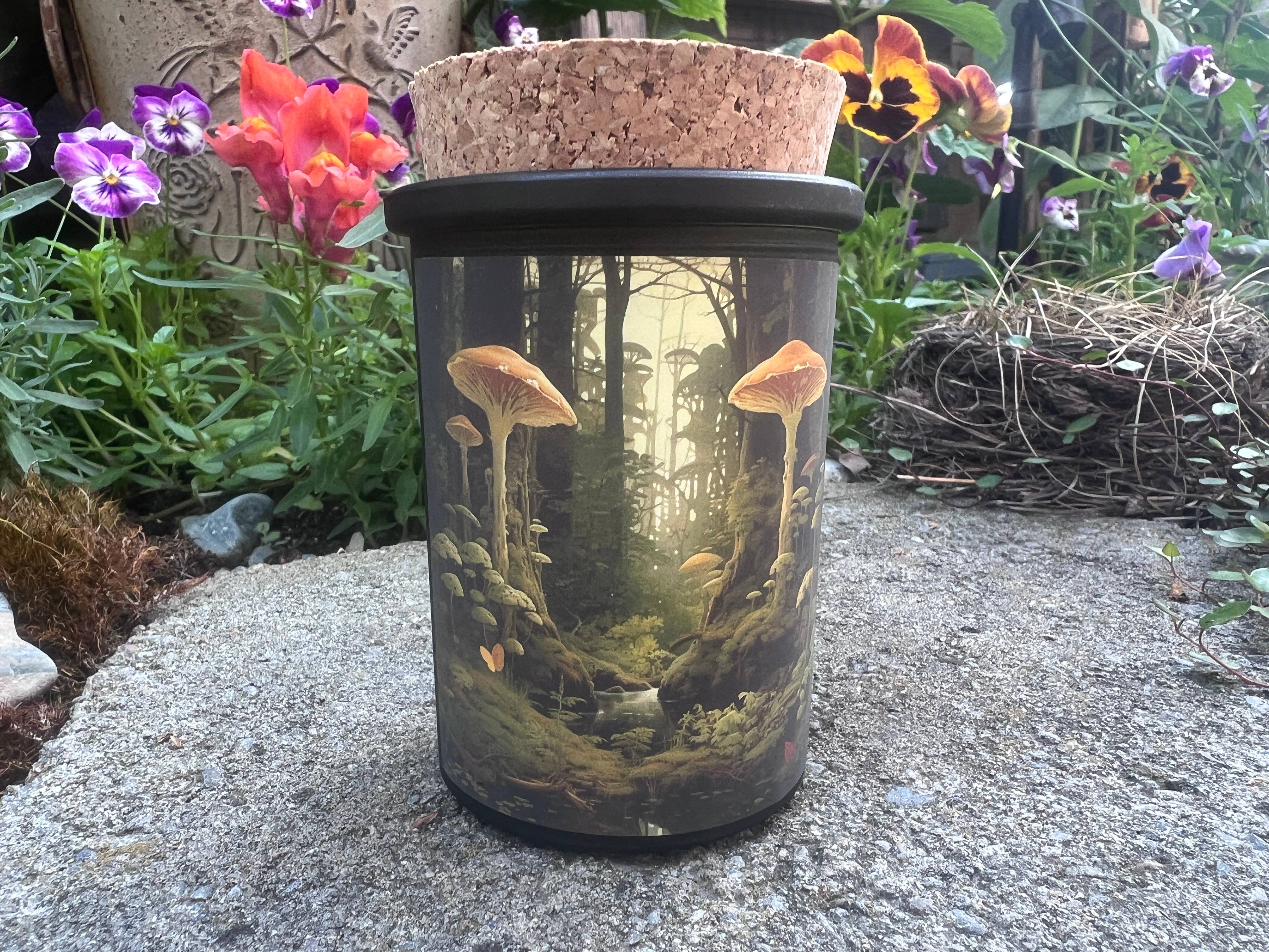 Montana Farmacy - Wholesale Jar/Filled Candle - Fairytale Mushroom & Moss candles set of 6 Fairy Magic5