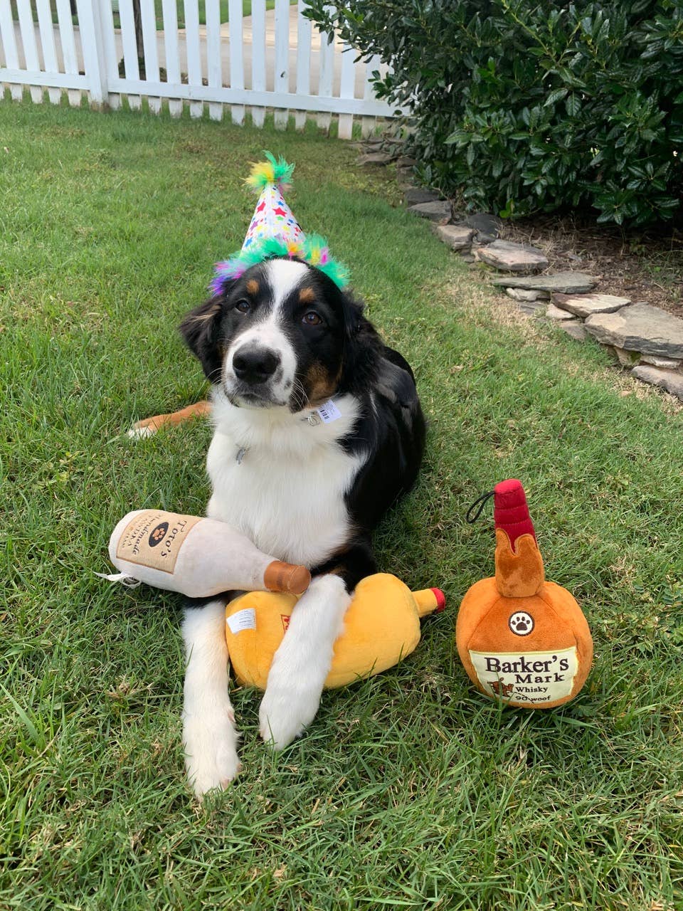 Huxley & Kent - Wholesale Pet Plush Toy - Dog - Barkers Mark Dog Toy2