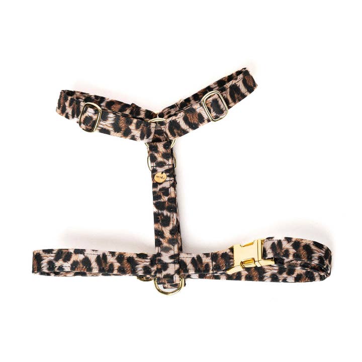 Luipaard harnas voor wholesale door Archila