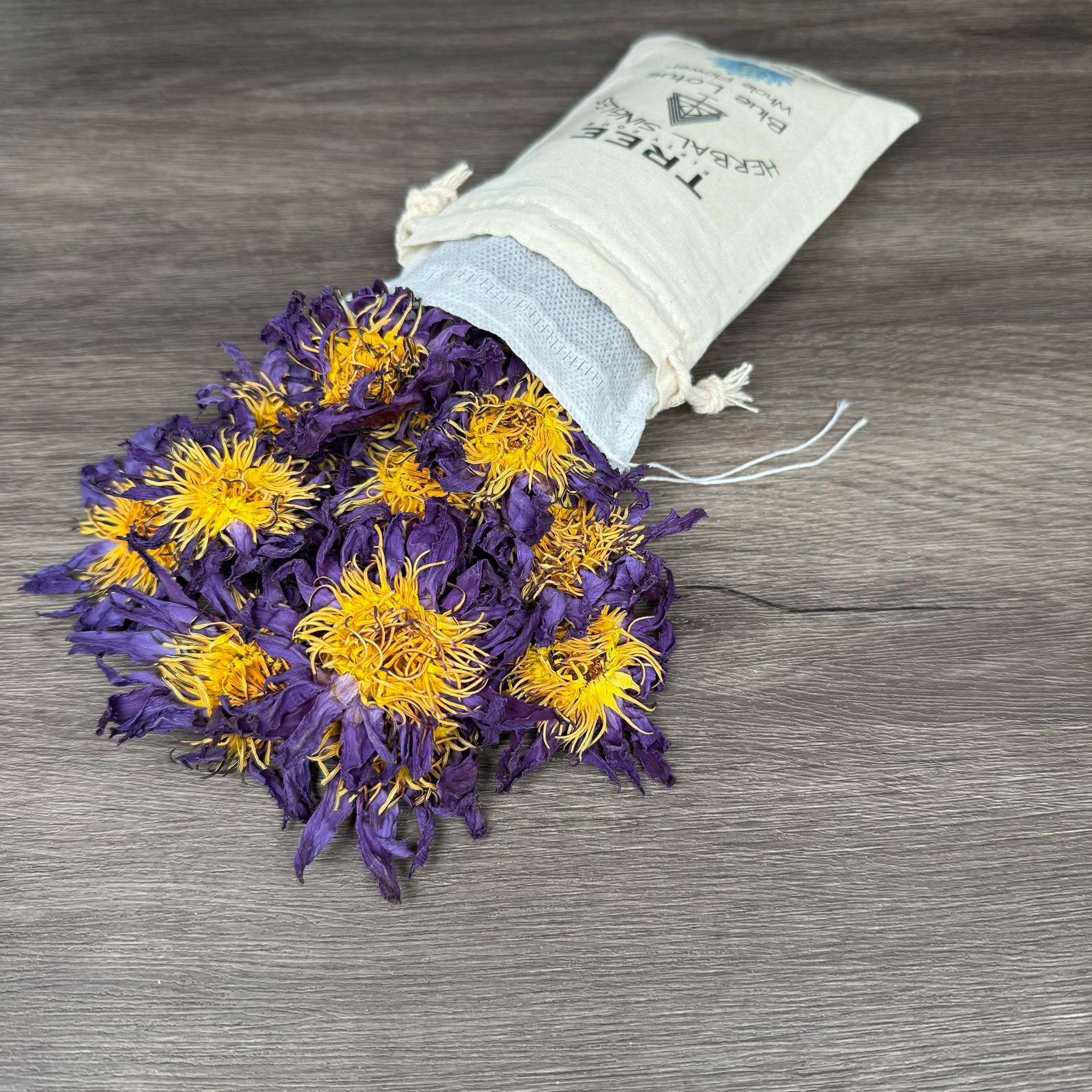 Tree Fifty Four - Wholesale Health/Detox Tea - Blue Lotus Whole Flower 6-Pack Sachet Set | 3.5" x 4.75"2