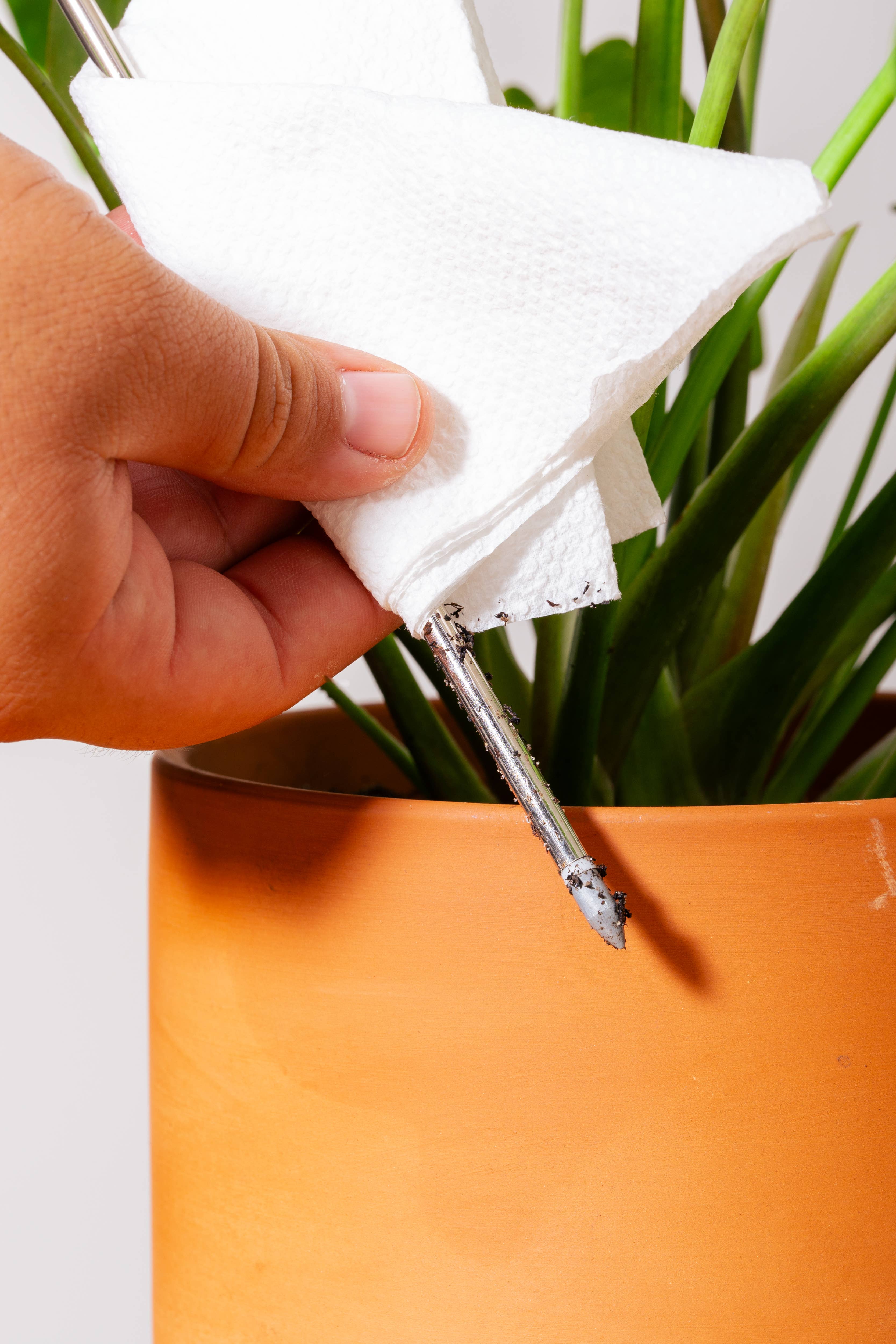 Classy Casita – Engroshandel Haveværktøj – Fugtighedsmåler (sort)4