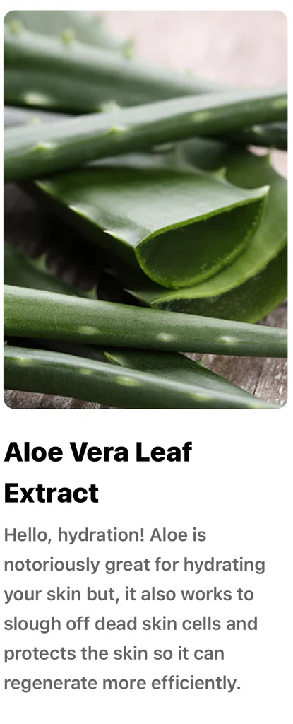 Wanderlust Scents - Wholesale Hand Soap/Wash - Silky Bubble Bath by Wanderlust Scents2