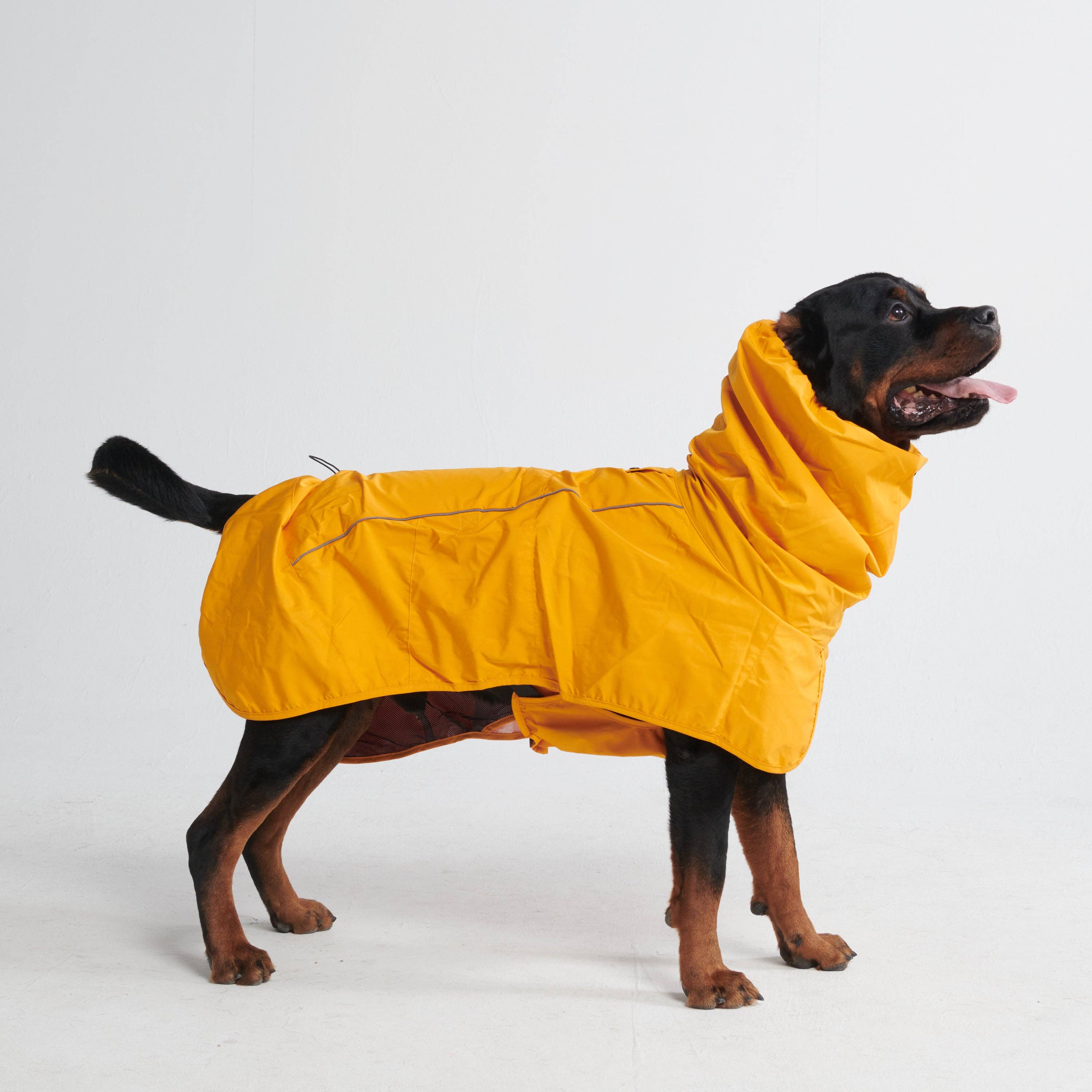 Spark Paws - Wholesale Pet Raincoat - Dog - Breatheshield™ Dog Raincoat - Mustard Yellow