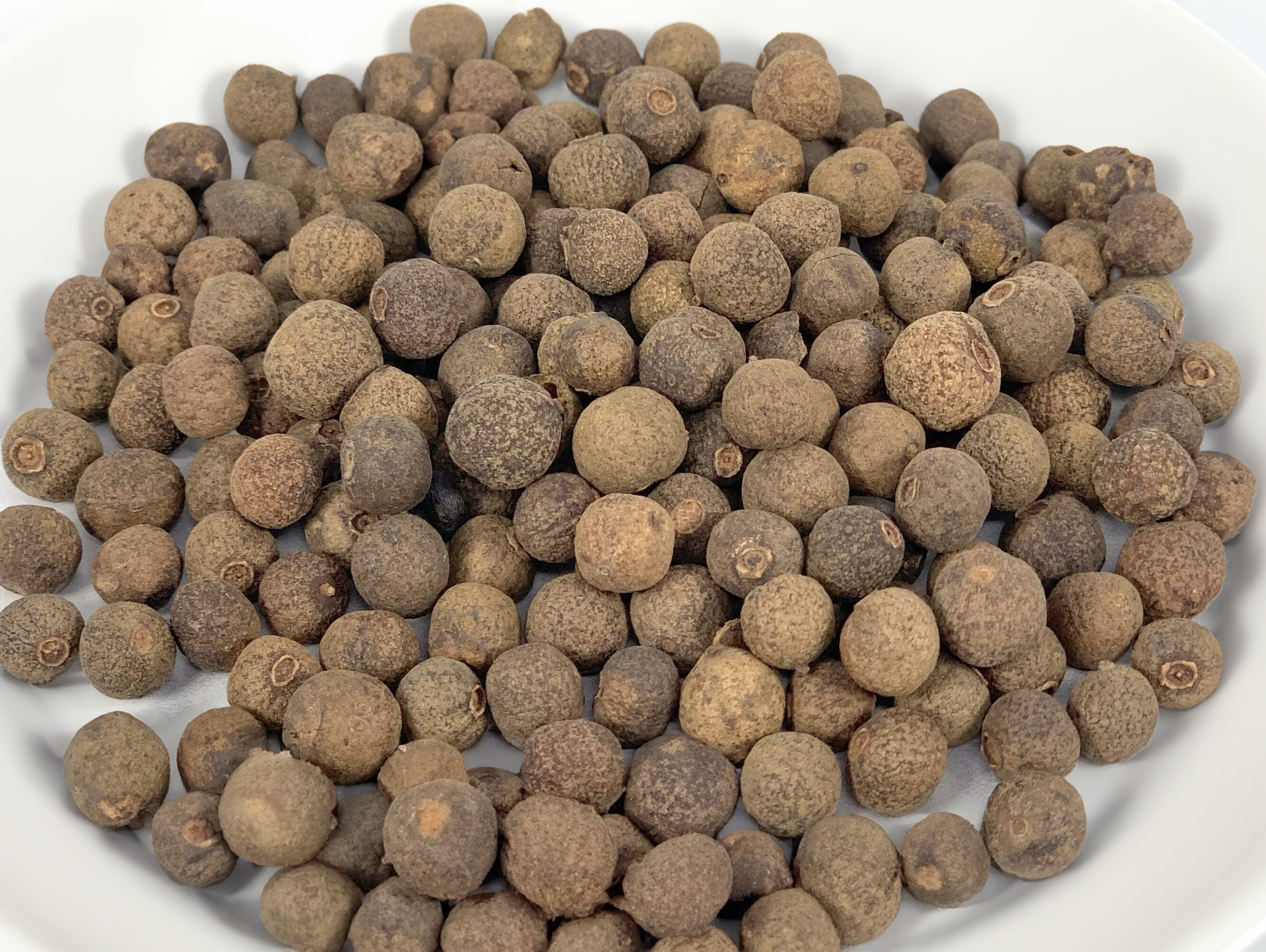 Old Town Spice Shop - Wholesale Dried Spice - Whole Allspice Berries, Allspice Berry, Gourmet Baking Spice1