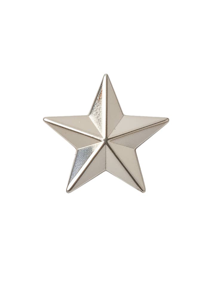 Stjerne sølv hundehalsbånd vedhæng for engroshandel hos PawPopz