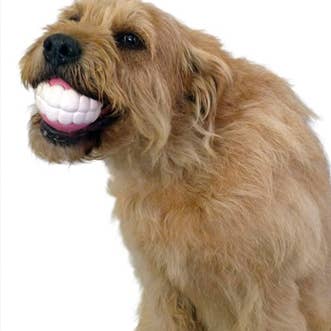 MOODY PET - Wholesale Pet Chew Toy - Dog - Humunga Chomp
