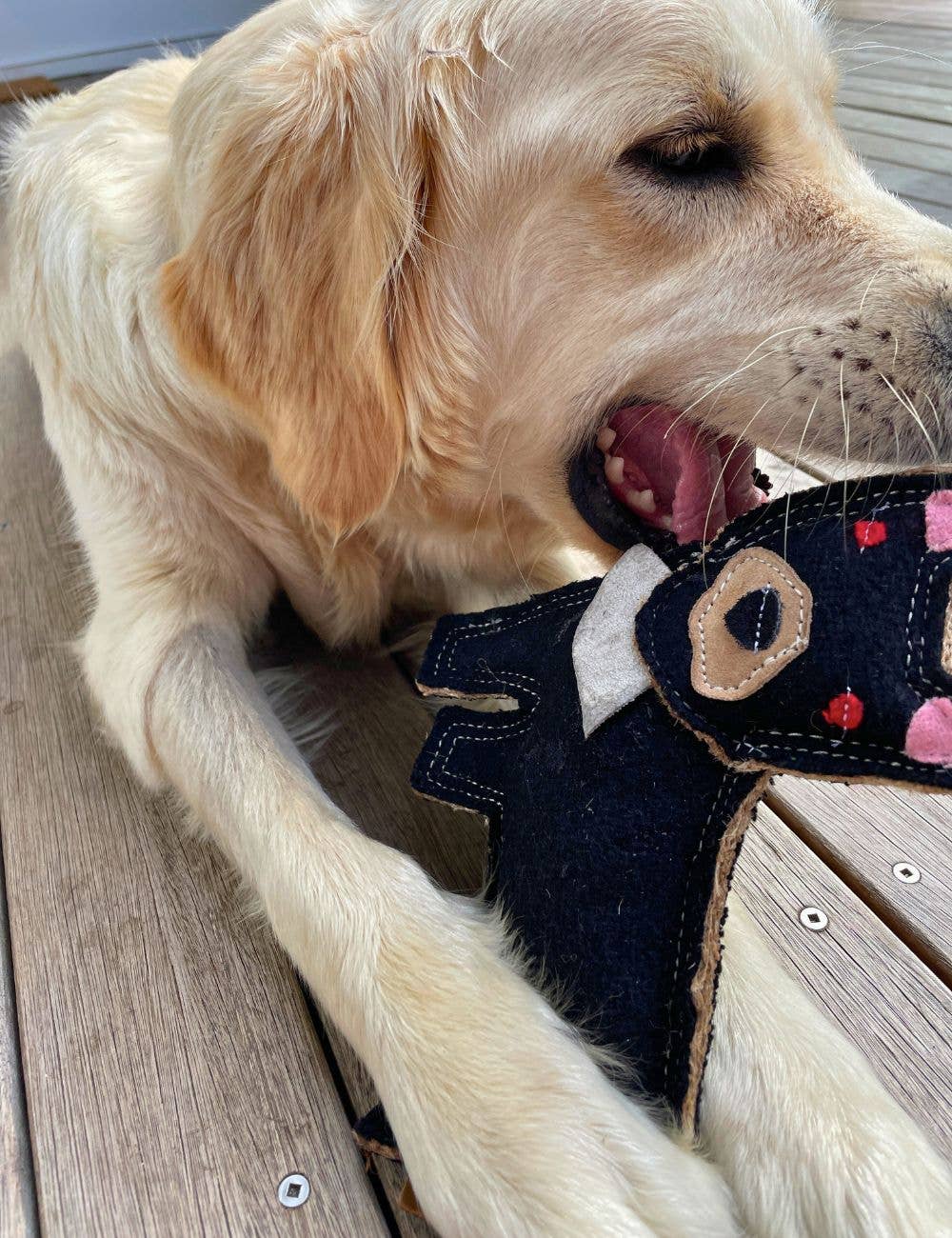 Outback Tails – wholesale Mjukisdjur - Hund – Outback filtleksak - Tassie Devil4