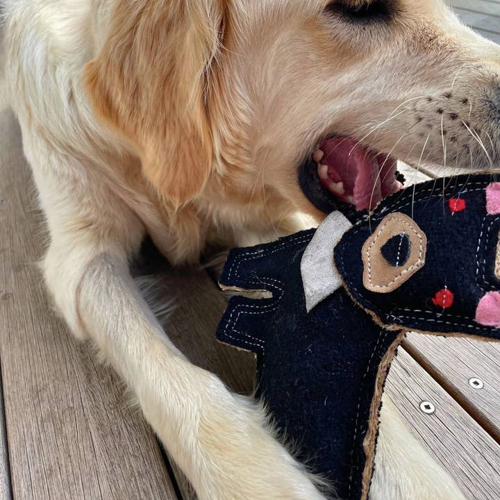 Outback Tails - Wholesale Pet plush toy – Dog - Outback Felt Toy - Tassie Devil4