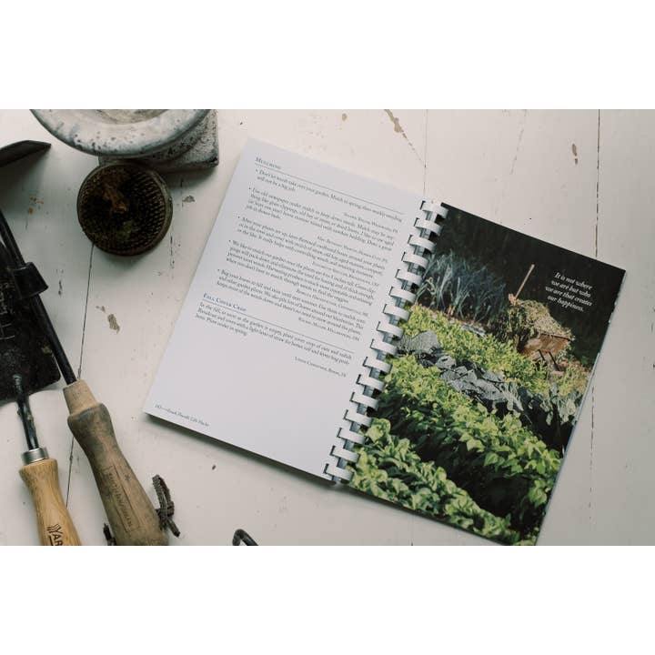 Barbour Publishing, Inc. - Wholesale Home & Garden - Wanda E. Brunstetter's Amish Friends Life Hacks4