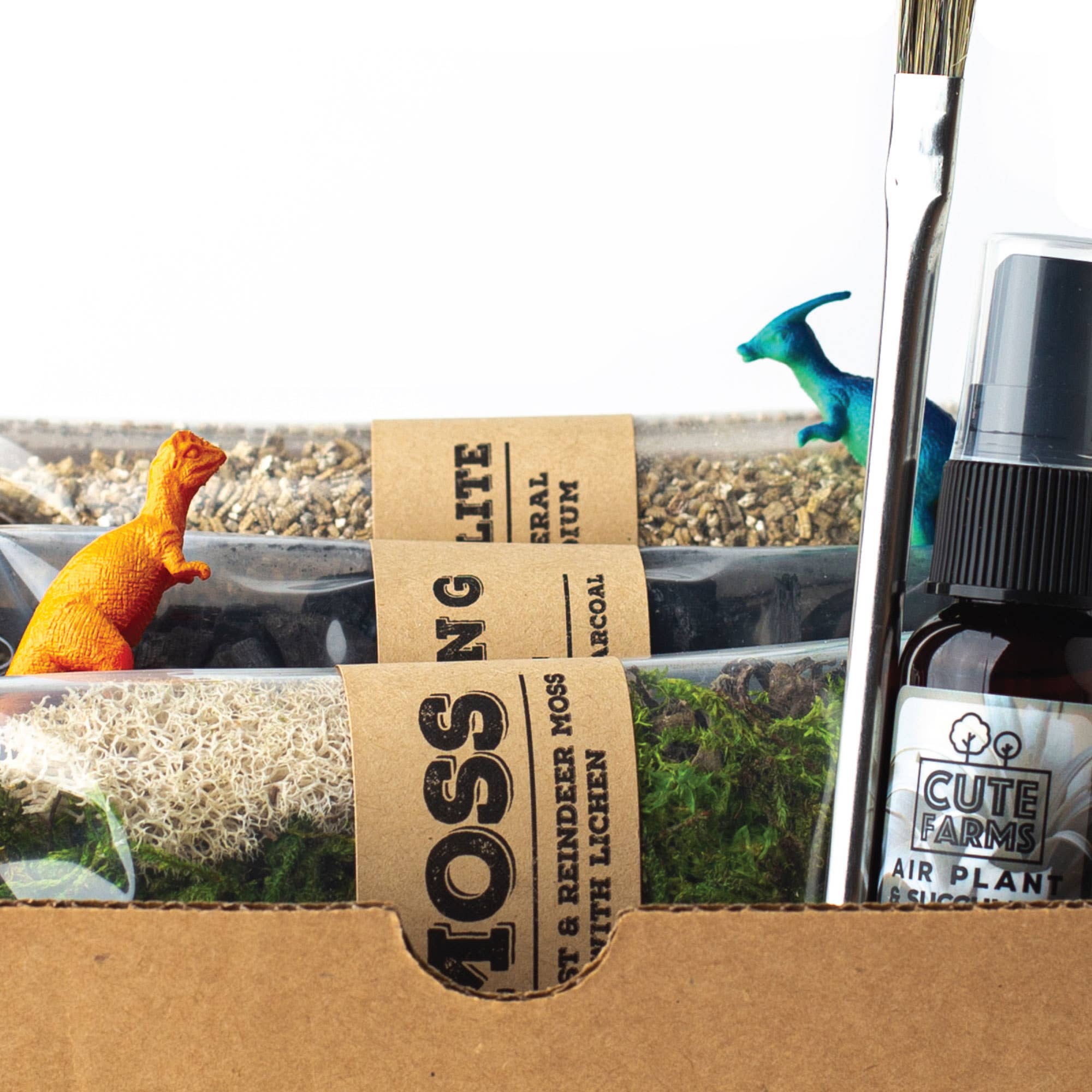 Cute Farms - Vente Kit de bricolage - Kit de démarrage pour terrarium2