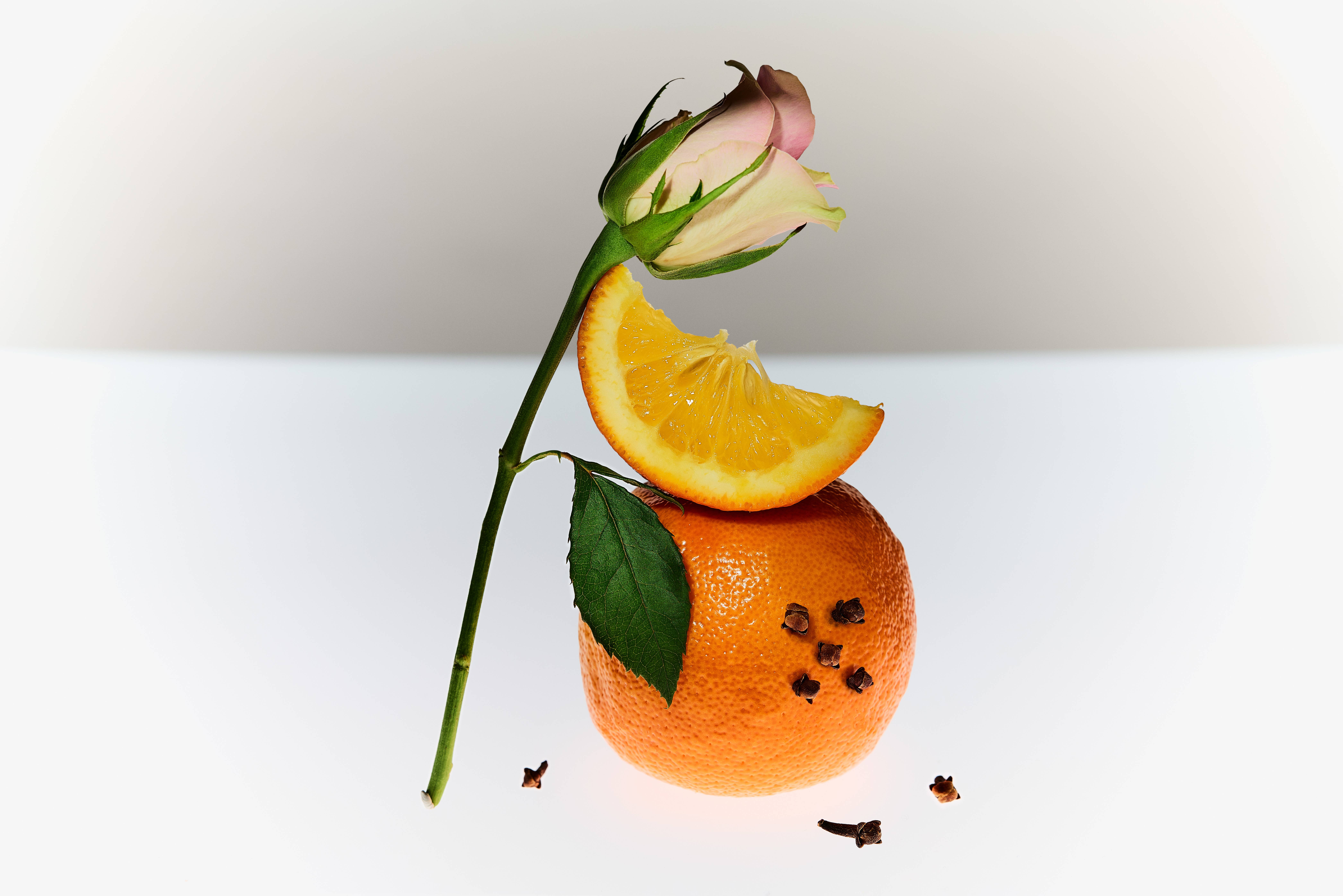 Figlia – wholesale Non-alcoholic aperitif/mocktail – Fiore Non-Alcoholic Aperitivo1