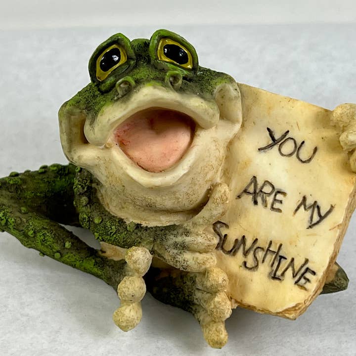 Message Frog « Tu es mon soleil » pour la vente par Natures Window