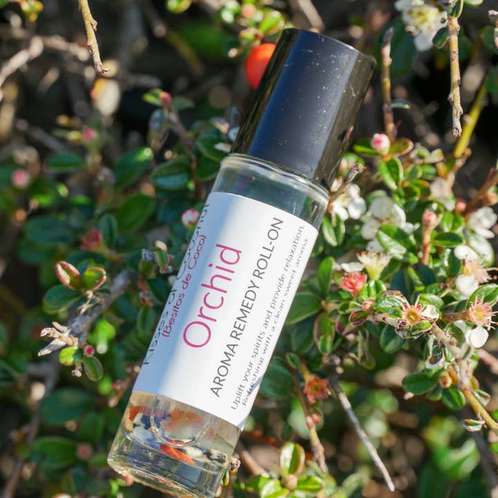 Orchid Roll-On por atacado de Kisses of Coconut