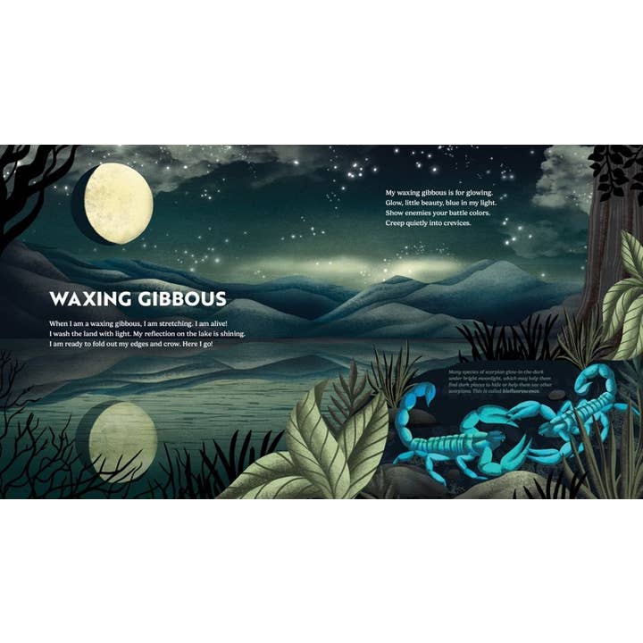 Gibbs Smith - Wholesale Nature & Outdoors Book - Wild Moon: How the Lunar Phases Light Up Our World5