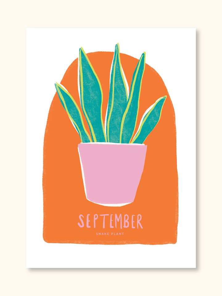 SEPTEMBER for wholesale by Palm House Studio