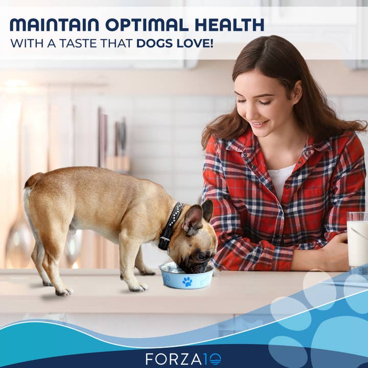 Forza10 Pet Food – comida - Cão por atacado – Forza10 Actiwet Hipoalergênico Alimentos para cães enlatados sabor cordeiro1