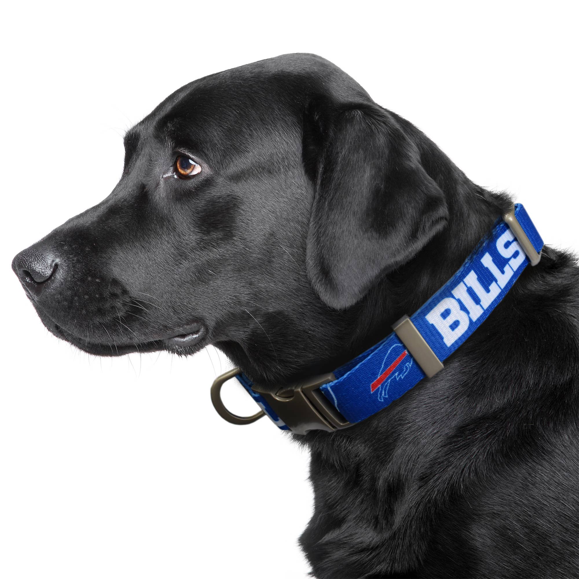 Little Earth Productions - Vente Collier – chien - Collier pour animaux de compagnie Premium Buffalo Bills de la NFL1