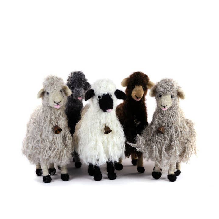 Mouton de tête pour la vente par Lanart Alpaca