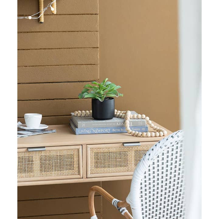 A&B Home Group Inc. – wholesale Artificial plant – Potted Succulent21