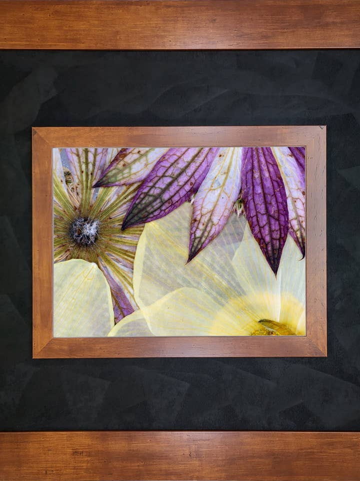 Transparent Flowers II with Honey Maple and Fabric for wholesale by The Brightener Group