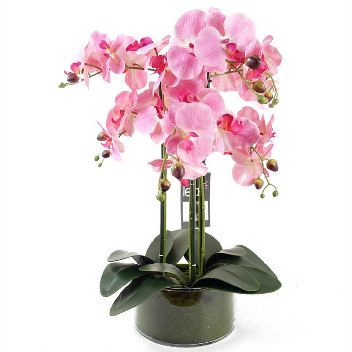 Leaf Design UK LTD - Wholesale Artificial Flowers - Artificial Orchid Glass Planter Pink