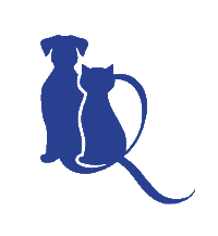 Kura Beauty - Wholesale Hand Cream/Lotion - Aloe Hand and Nail Cream4