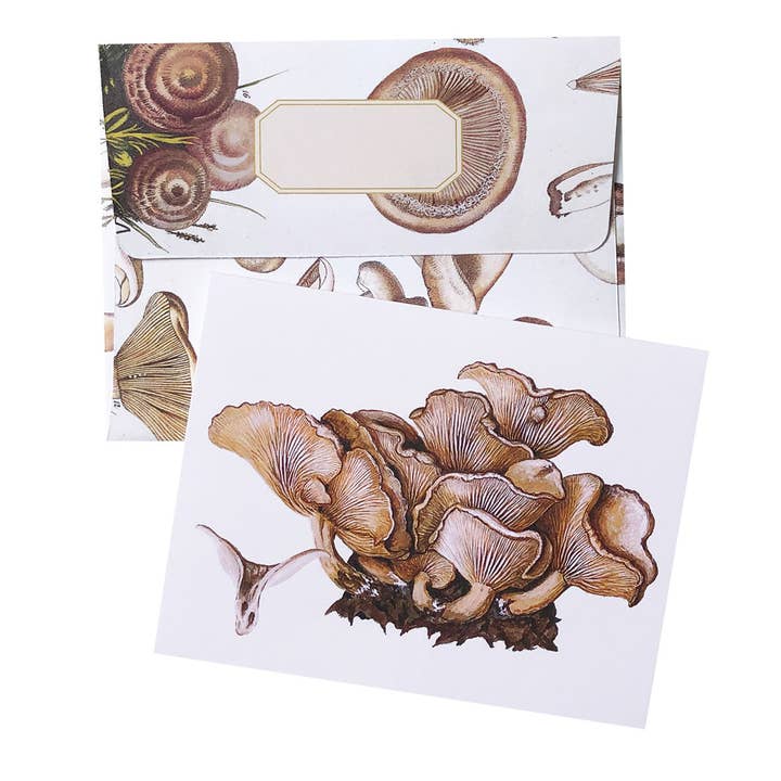 Artistry Cards - Wholesale Stationery/Notecard Set - Boxed Set of 8 Vintage Mushroom Greeting Cards4