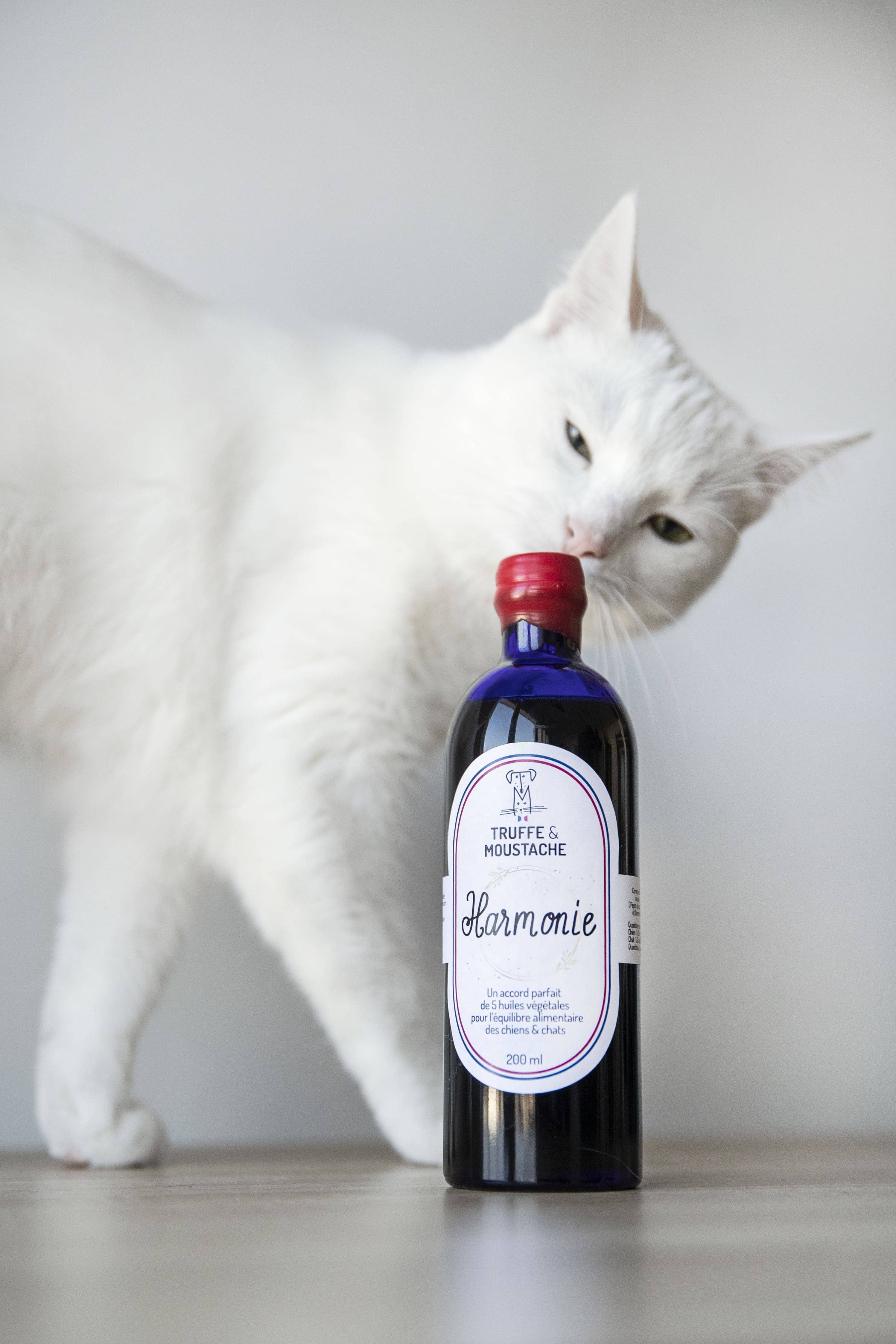 Truffe & Moustache - Wholesale Pet Supplement - Cat/Dog - Vegetable oil for dogs & cats, Omega 3 and 6, “Harmony”8