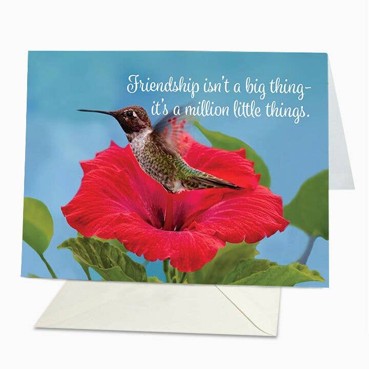 L'amicizia non è una grande cosa per la vendita all'ingrosso da parte di St Thomas Greetings