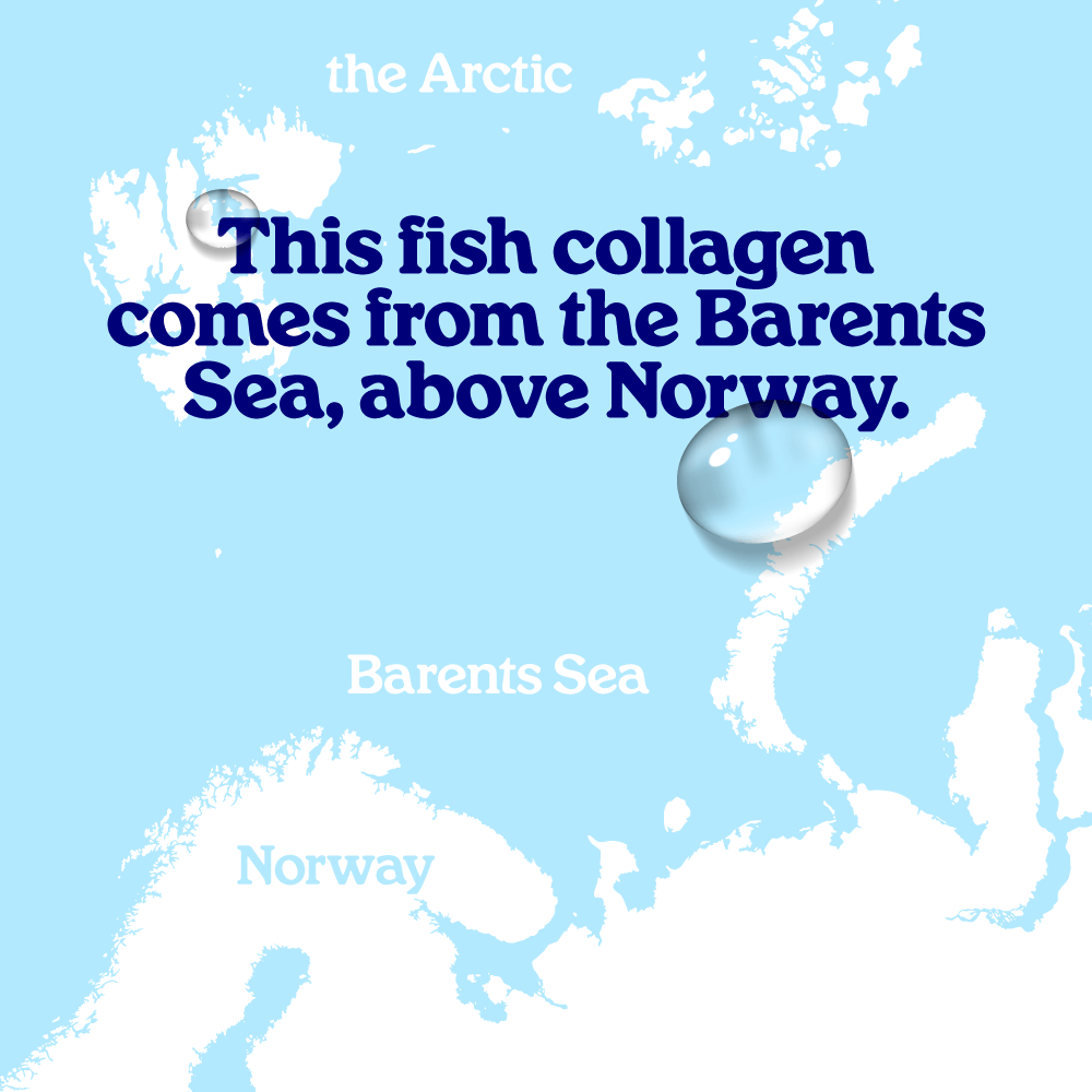 Arctic Blue - Wholesale Oral Supplement/Vitamin - Natural Fish Collagen Powder - MSC (150g)7