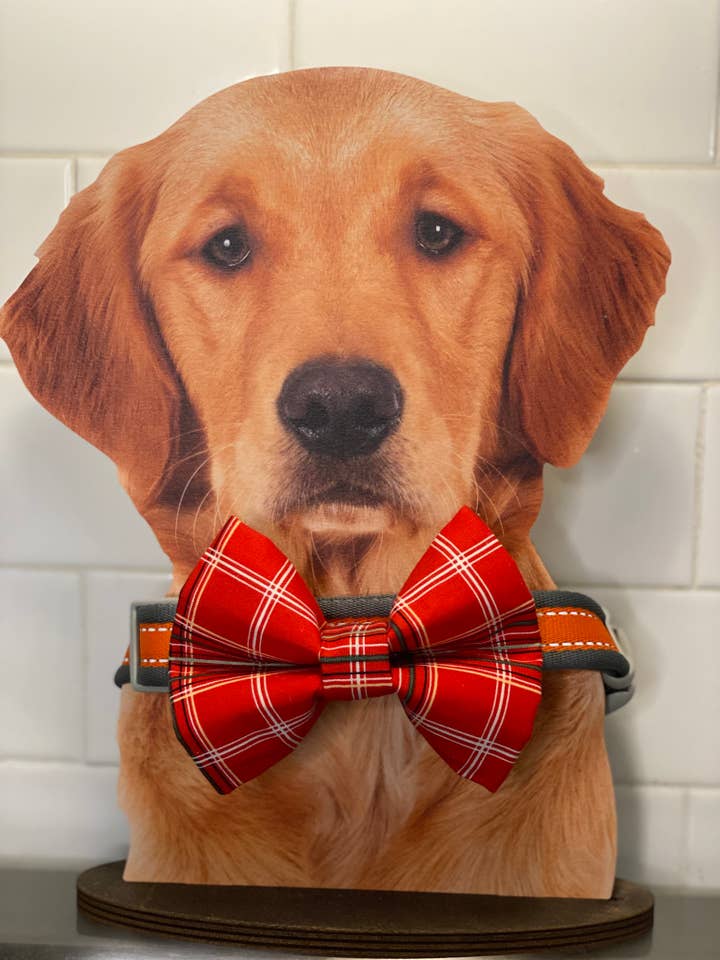 Geruite kerststrik voor honden, rode plaid voor wholesale door Swanky Pawz