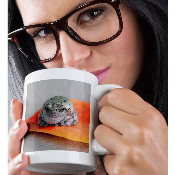 3dRose - Wholesale Coffee Mug - 3dRose, A macro photograph of a gray treefrog on an orange leaf., Mug9